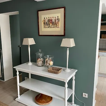 Daire Duplex In Historical Gent