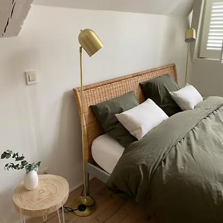 Duplex In Historical * Gent